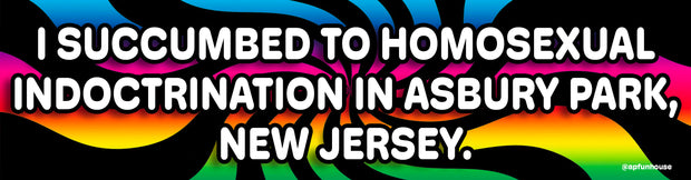 I SUCCUMBED TO HOMOSEXUAL INDOCTRINATION Bumper Sticker