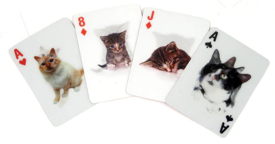3D CATS Playing Cards