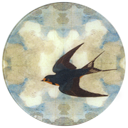 Swallow in Flight (Flying Left) Plate