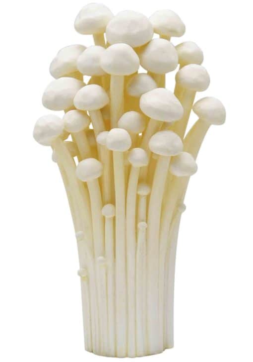 MUSHROOM Rubber Charm